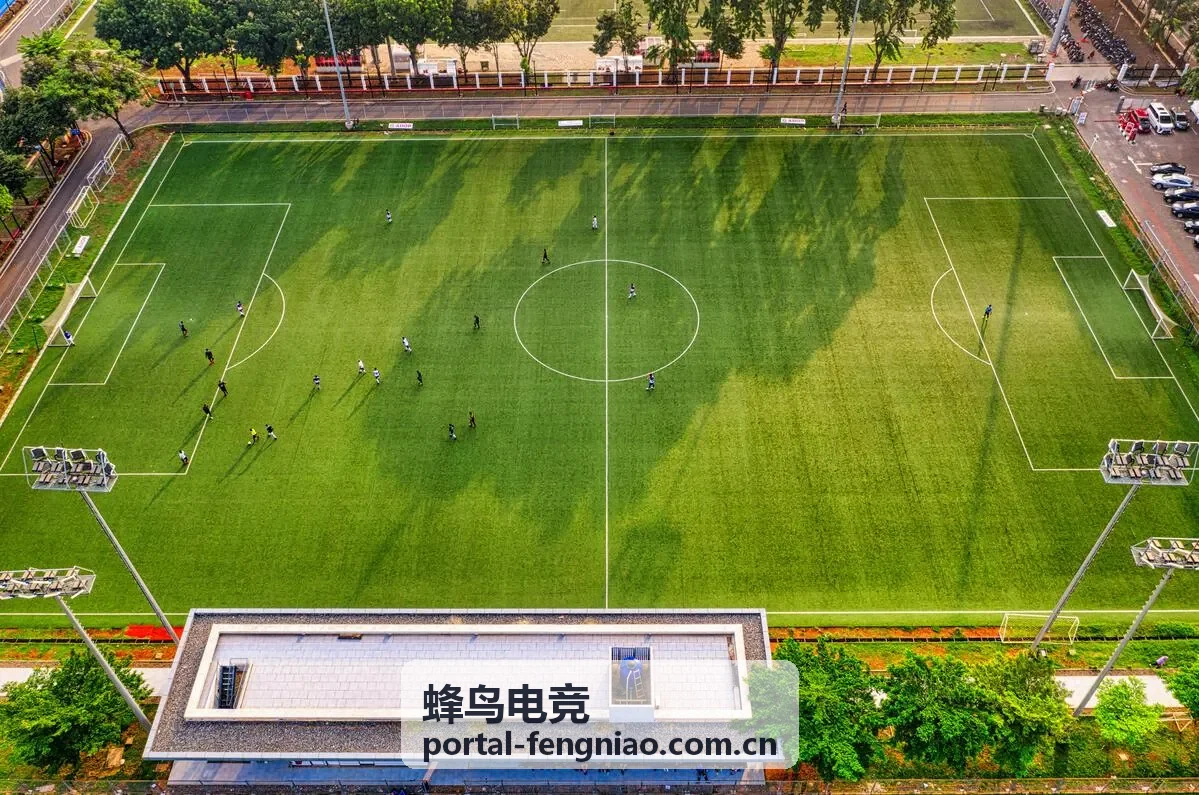 蜂鸟电竞-和平精英全球总决赛战场画面